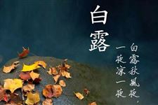 2018年白露以后是不是就冷了