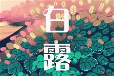 白露有什么节气特点