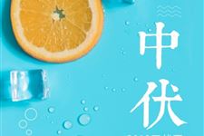 2019年中伏:7.22-8.10