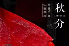 秋分到,是秋天到了吗?