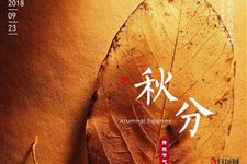 为什么叫秋分不叫秋至呢