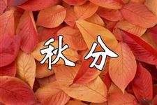 秋乏怎么办