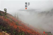 秋分后的第一个节气是什么