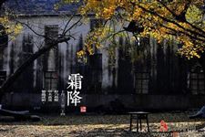 寒露后的第一个是什么节气