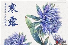 寒露节气可以艾灸吗