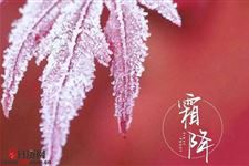 寒露和立冬之间的节气是什么