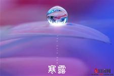 为什么寒露不能"露脚"?