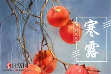寒露节气说柿子
