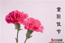 重阳节送什么花给老人最适合