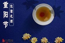 重阳节菊花酒怎么酿