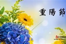 重阳节赏菊跟哪位诗人有关