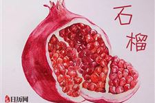 重阳节吃什么水果