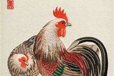 2019年属鸡的今年多大