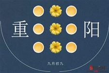 重阳节可以说节日快乐吗