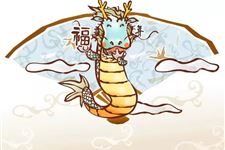 2019年属龙的今年多大