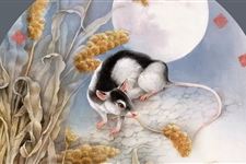 2019年属鼠的今年多大