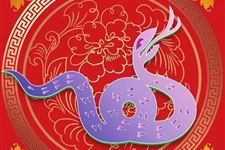 属蛇2019年运势及运程