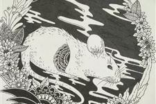 属鼠2019年运势及运程