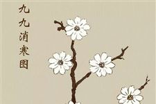 2018年-2019年四九时间:1.18-1.26