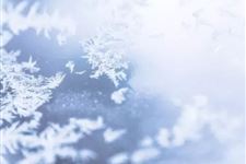 2018年-2019年三九时间:1.9-1.17