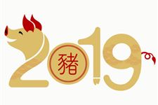 2019年闰年闰月么