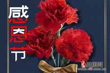 美国人怎么过感恩节