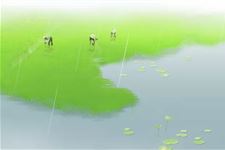 2019年谷雨是几月几日:4月20日