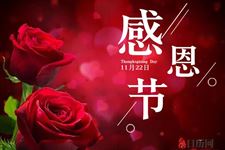 关于感恩节的故事