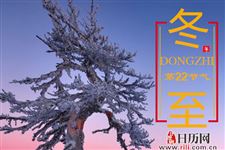 冬至南方人吃什么