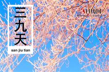 三九天吃什么