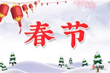 关于春节的日记