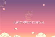 春节习俗的作文