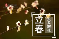 2019年什么时候立春