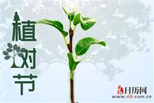 植树节可以做什么
