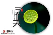 2019年一伏是几号
