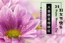 妇女节是给哪些人过的