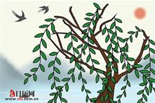 2019年植树节适合种什么树