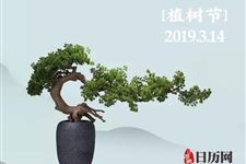 2019年植树节主题标语