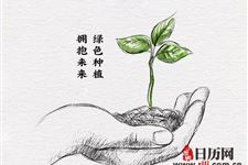 植树节植树要讲究科学