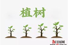 植树节植树的方法及步骤