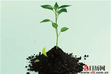 植树节去哪里植树