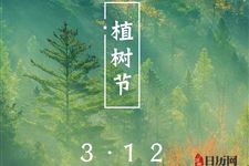 植树节种树要注意什么