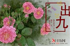 出九是什么意思