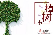 学校植树节活动方案