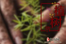 植树节宣传口号