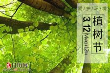 植树节国旗下讲话