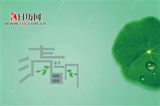 清明扫墓用什么花比较合适