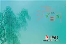 清明节为什么都喜欢插柳