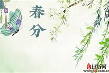 春分种什么菜