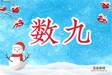 2019年-2020年数九时间表查询